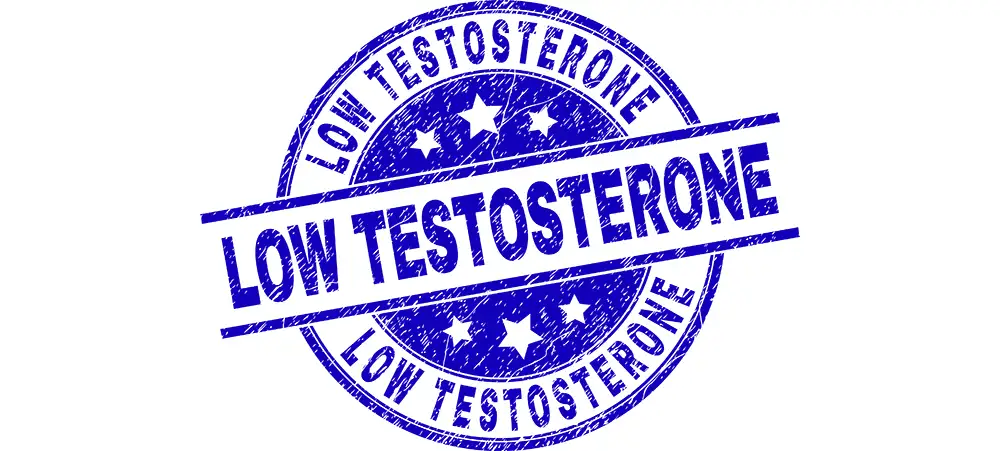 Blog - The role of diet on testosterone